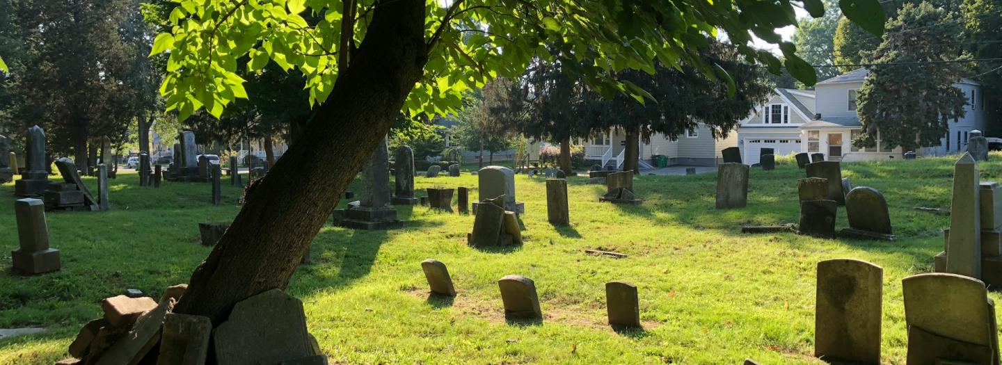 A cemetery in a park on a sunny day