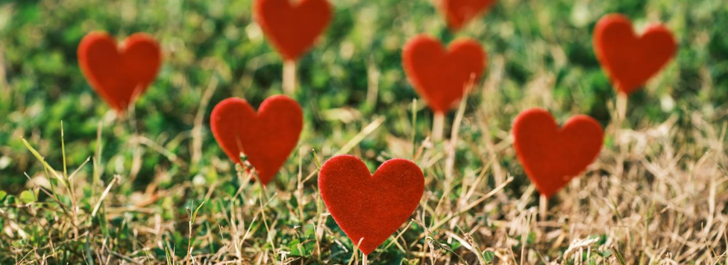 Heart sculptures on a grassy field
